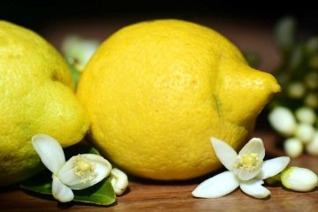 Limun – sinonim za zdravlje