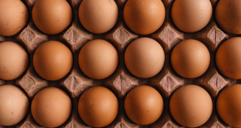 Još jedan proizvođač povlači jaja s polica: ponovno razlog salmonela