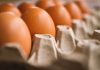 Gdje skladištiti jaja: najbolje mjesto za održavanje svježine jaja