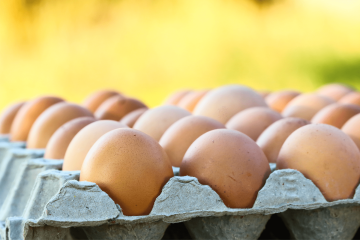 S tržišta se povlače jaja: zbog utvrđene salmonele na farmi
