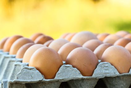S tržišta se povlače jaja: zbog utvrđene salmonele na farmi