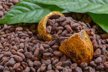 Kakao dosegao najvišu cijenu ikada: čokolade bi mogle koštati kao suho zlato
