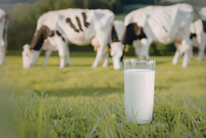 Hrvatsko mljekarstvo tone: brojke uvoza opako rastu